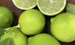 Les Hespérides - Coopérative de la Riviera Française - Lime de Tahiti 3kg