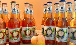 Cidre Mauret - Pack Pétillants Sans Alcool - 12x33cl