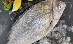 Notre poisson - Dorade Grise écaillé vidé 300/500g en lot de 1kg