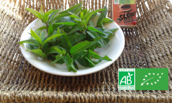 LES JARDINS DE KARINE - Menthe douce fraîche - 25g