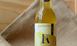 Dégustonfoin - 6 x Kombucha "Original" BIO 33cl
