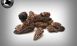 Boucherie Moderne - Morilles séchées