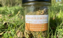 La Cabane à plantes - Ail des ours pour soupes et bouillons