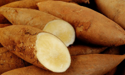 Le Châtaignier - Poire de terre - 500g