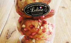 Les Gourmandises de Luline - 10 Madeleines pralines (sans lactose)