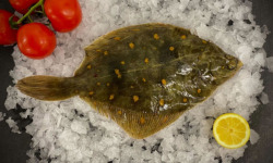 Luximer - Plie Vidée - Lot De 1kg