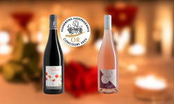 Domaine de la Chopinière du Roy - À deux c’est mieux - Coffret Duo vin de Loire Rouge et Rosé Fruité pour couple - 2 x 75 cl