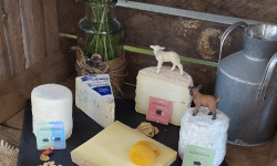 Boutique Boisette - Le plateau «  pour tous » 910g