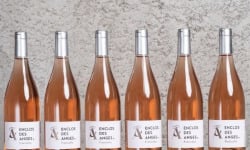 Enclos des Anges - Enclos des Anges Fraticello Rosé 2023 x 6