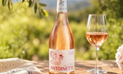 Domaine Lucien Tramier - IGP Méditerranée Rosé 2025 "Antoinette" BIO