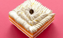 GT Designer Glacier - Vacherin Mangue Passion