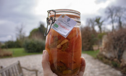 ChâteauFer - Lacto de pastèque 1kg