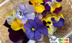 Les Nouvelles Fermes - Maxi fleurs de pensées comestibles (boite de 20 fleurs)