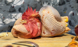 Ferme Avicole des Grands Champs - Poulet entier PAC 2,2-2,6kg