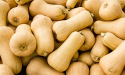 La Ferme de Milly - Anjou - Courge butternut 10kg
