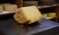 Alléosse Maitre Artisan Affineur Fromager - Salers Extra-vieux AOP au lait cru