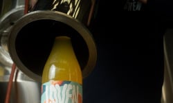 Brasserie L'Indispensable LOVEN Kombucha - Kombucha Clémentina - (Clémentine de Corse & Fève de Tonka) - 3x75cl