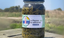Rivesaline - Terre Saline - Pousse de salicorne au naturel Bio 120g