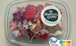 Les Nouvelles Fermes - Fleurs de phlox comestibles (boite de 40 fleurs)