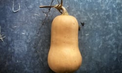 La Ferme d'Artaud - Butternut - 1kg