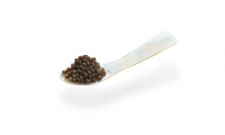 Caviar de Neuvic - Cuillère en nacre 7 cm