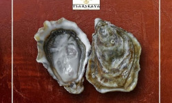 Saint Kerber - Cancale - Huîtres - La spéciale TSARSKAYA N°4 - 50 pièces (4 douzaines + 2 huitres offertes)