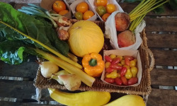 LES JARDINS DE KARINE - PANIER modulable / Fruits et Légumes bio JAUNE ORANGE