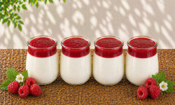 Gaec de l'Elanion - Yaourt Confiture Framboise x4
