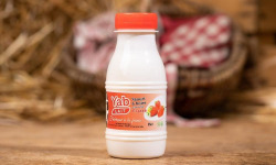 La Ferme de Blas'Lait - Yaourt à boire Aromatisé à la Fraise x2