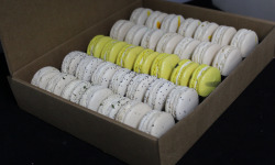 Les Macarondises - 35 Macarons Sucré-salés Fromager