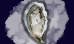 Le Termer - Huîtres de Normandie IGP N°2-12 Pièces "Saveurs de Normandie"