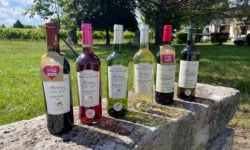 Vignobles Fabien Castaing - Lot Découverte des Vins de Bergerac