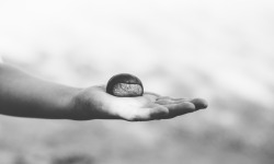 Mademoiselle Châtaigne - Chataignes Gpe 1 Gros Calibre 5kg