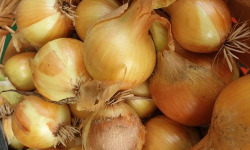 La Ferme de Milly - Anjou - Colis oignions jaunes BIO 10kg