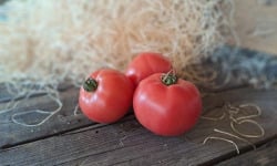 Les Jardins de Gérard - Tomate rose de Berne Bio - 1 kg