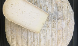 SCEA Brebis du Berry - La délice, tomme de brebis 1kg
