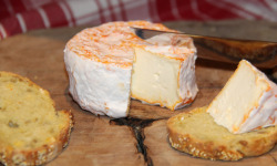 Ferme Dumesnil - P'tit Havrais x1