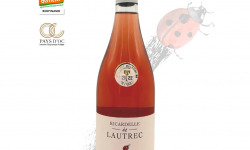 Domaine Ricardelle de Lautrec - Syrah Gourmandise - Ricardelle