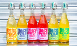 Brasserie L'Indispensable LOVEN Kombucha - Kombucha Pack Découverte - 6x75cl