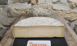 Lou Canesteou - Tomme Tarentaise 250g
