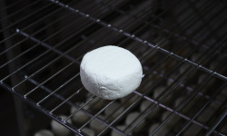 Alléosse Maitre Artisan Affineur Fromager - Basilou chèvre extra-frais
