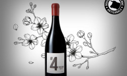 Boucherie Moderne - Vin rouge #4 Nuit Saint-George 75cl