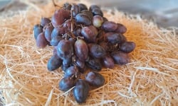 Les Jardins de Gérard - Raisin rouge Bio - 1 kg