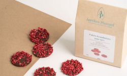 Aurélien Plassard Chocolatier - Palet framboise noir 66%