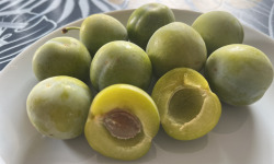 Domaine du Chillou - Prunes Reine-Claude Bio
