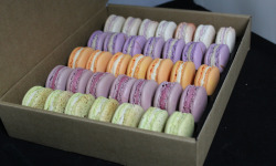 Les Macarondises - 35 Macarons Fruits du Verger