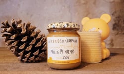 Les Butineuses de Champigny - Miel de Printemps BIO - 250g