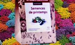 La Boite à Herbes - Assortiment Semences de Printemps Bio