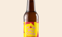 Omie - Kombucha aux feuilles de framboisier bio (X3) - feuilles du Maine-et-Loire - 33 cl