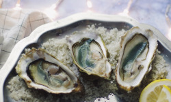 Les Huîtres Courdavault Alain & Fils - Huîtres Fines Vertes Calibre 2: 100 Huîtres = 11  Kg